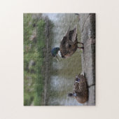 Eenden van de Natuur Watervogels Fotografie Legpuzzel (Verticaal)