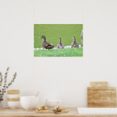 Eenden van het Poster Pond (Keuken)