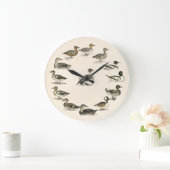 Eenden van illustraties van Noord-Amerika Grote Klok (Huis)