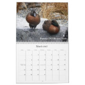 Eenden van Nieuw-Zeeland Kalender (Mar 2027)
