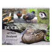 Eenden van Nieuw-Zeeland Kalender (Hoes)