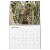 Eenden van Noord-Amerika 2010 Kalender (Mar 2027)