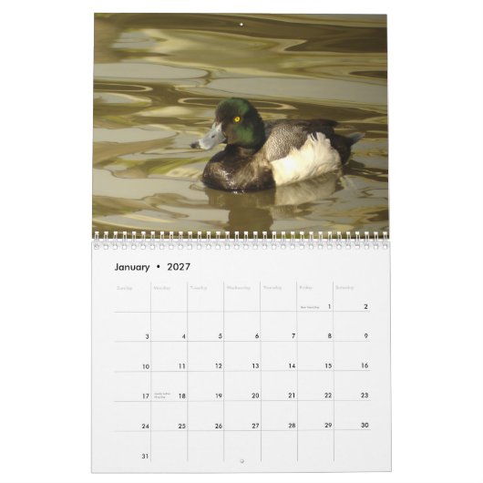 Eenden van Noord-Amerika 2010 Kalender (Jan 2027)