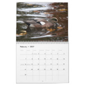 Eenden van Noord-Amerika 2010 Kalender (Feb 2027)