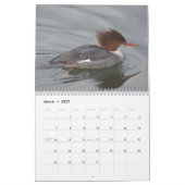 Eenden van Noord-Amerika, 2011 Kalender (Mar 2027)
