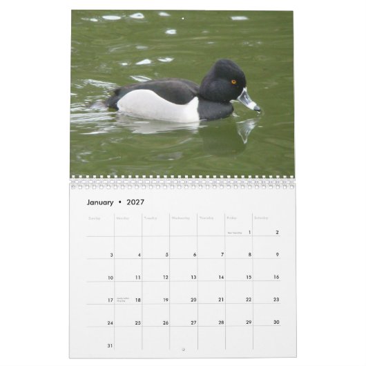 Eenden van Noord-Amerika, 2011 Kalender (Jan 2027)