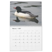 Eenden van Noord-Amerika, 2011 Kalender (Feb 2027)