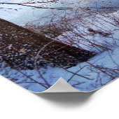 Eenden verzamelen rond een diepgevroren obligatie poster (Hoek)