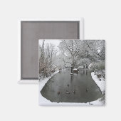 eenden vijver magneet (Voorkant / Achterkant)