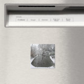 eenden vijver magneet (Insitu (Vaatwasser))