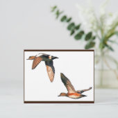 Eenden vliegend Briefkaart (Staand voorkant)