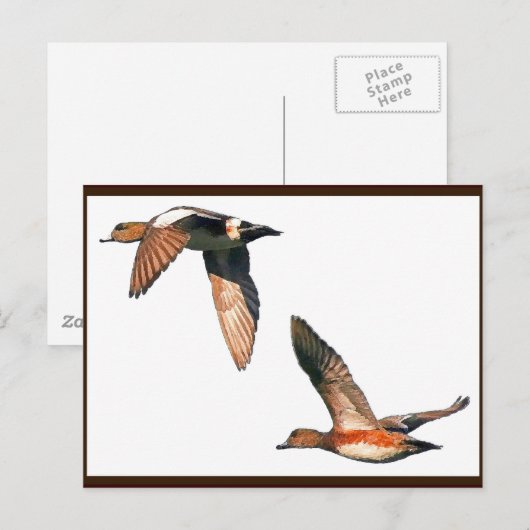 Eenden vliegend Briefkaart (Voorkant / Achterkant)