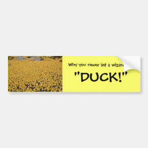 eenden, waarom je nooit een tovenaar laat roepen,  bumpersticker
