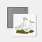 Eenden: White Crested Magneet (Voorkant / Achterkant)