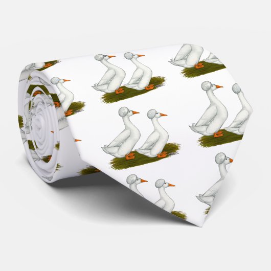 Eenden:  White Crested Stropdas (Opgerold)