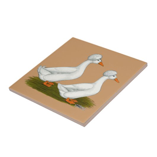 Eenden: White Crested Tegeltje (Zijkant)