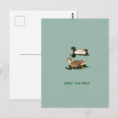 Eenden wilde eenden briefkaart (Voorkant / Achterkant)