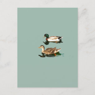 Eenden wilde eenden briefkaart