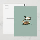 Eenden wilde eenden briefkaart (Voorkant / Achterkant)