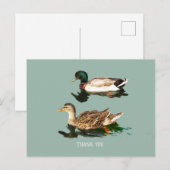 Eenden wilde eenden briefkaart (Voorkant / Achterkant)