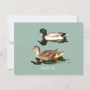 Eenden wilde eenden briefkaart