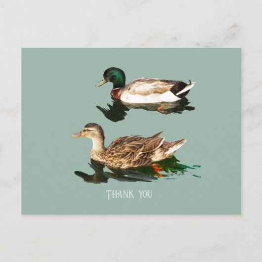 Eenden wilde eenden briefkaart (Voorkant)