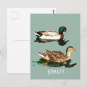 Eenden wilde eenden briefkaart (Voorkant / Achterkant)