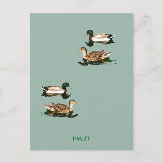 Eenden wilde eenden feestdagenkaart (Voorkant)