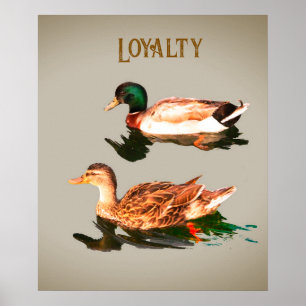 Eenden, wilde eenden. loyaliteit poster