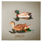 Eenden, wilde eenden. loyaliteit tegeltje (Voorkant)
