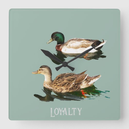 Eenden wilde eenden vierkante klok (Voorkant)