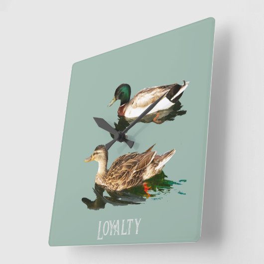 Eenden wilde eenden vierkante klok (Hoek)