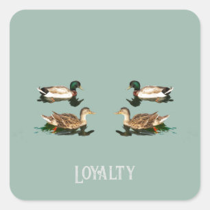 Eenden wilde eenden vierkante sticker