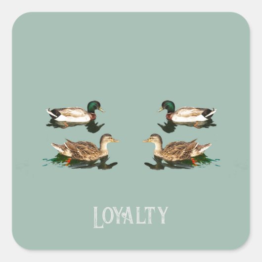 Eenden wilde eenden vierkante sticker (Voorkant)