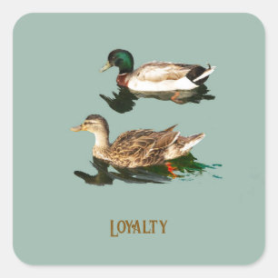 Eenden wilde eenden vierkante sticker