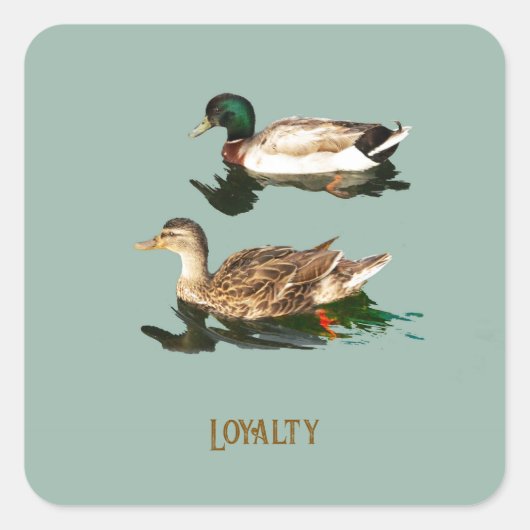 Eenden wilde eenden vierkante sticker (Voorkant)