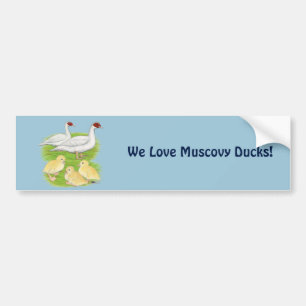 Eenden Witte Muscovy Familie Bumpersticker