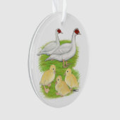 Eenden Witte Muscovy Familie Ornament (voorkant)