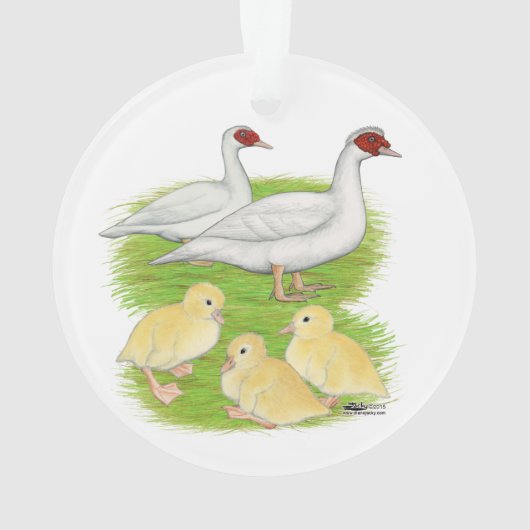 Eenden Witte Muscovy Familie Ornament (achterkant)