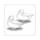 Eenden: Witte oproepen Rubberstempel (Afrduk)