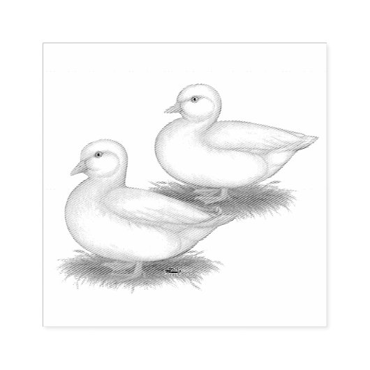 Eenden: Witte oproepen Rubberstempel (Afrduk)