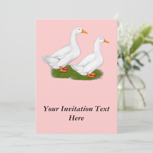 Eenden: Witte pekins Kaart (Staand voorkant)