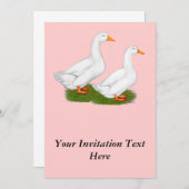 Eenden: Witte pekins Kaart (Voorkant / Achterkant)