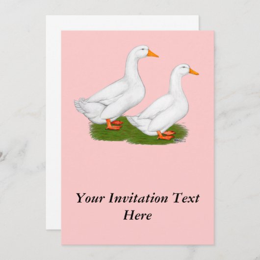 Eenden: Witte pekins Kaart (Voorkant / Achterkant)