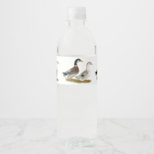 Eenden:  Zilveren Appleyard Waterfles Etiket