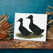 Eenden: Zwart Crested Fotoplaat (Zijkant)