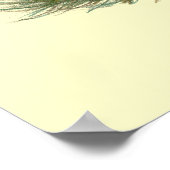 Eenden: Zwart Crested Poster (Hoek)