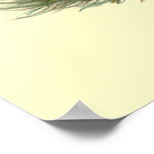 Eenden: Zwart Crested Poster (Hoek)