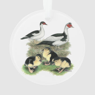 Eenden Zwarte Bonte Muskovy Familie Ornament