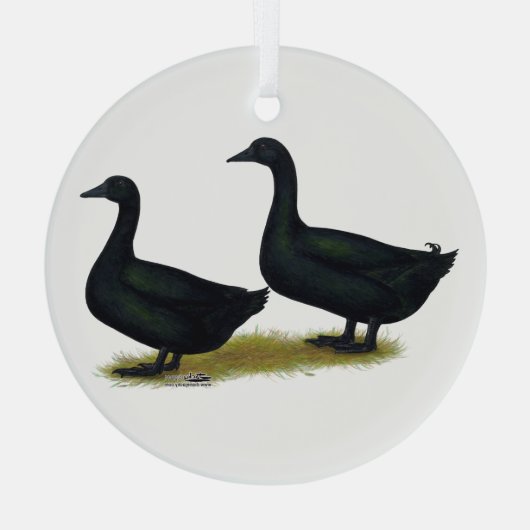 Eenden: Zwarte Cayugas Glas Ornament (Achterkant)